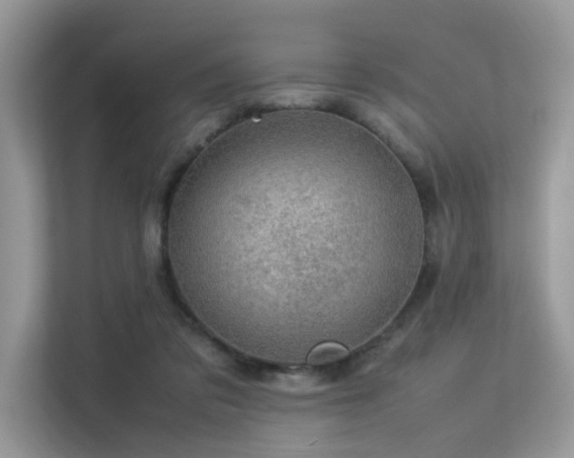 X0000113370309200909151405