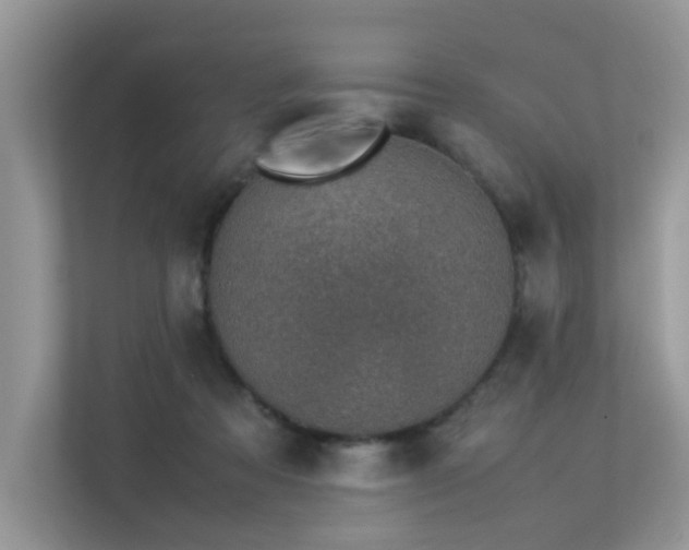 X0000113370313200909151405