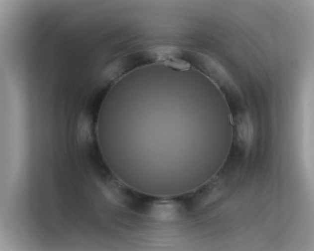 X0000113370316200909151405