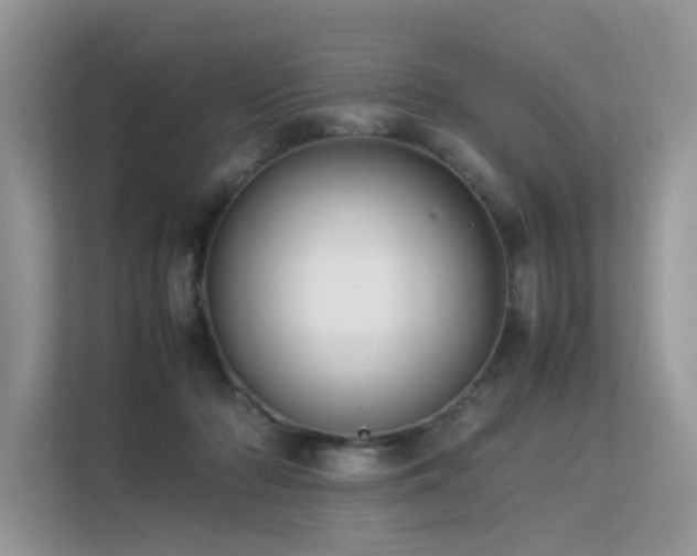 X0000113370318200909151405