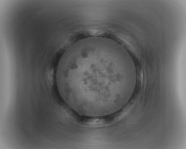 X0000113370319200909151405