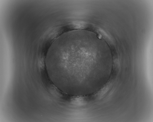 X0000113370325200909151405