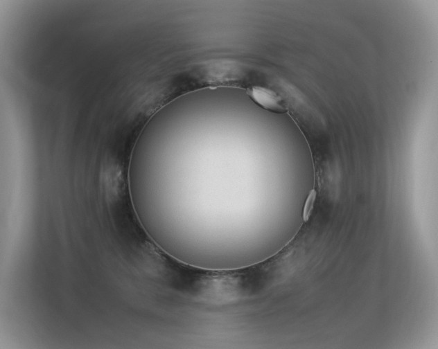 X0000113370327200909151405