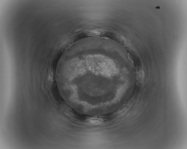 X0000113370331200909151405
