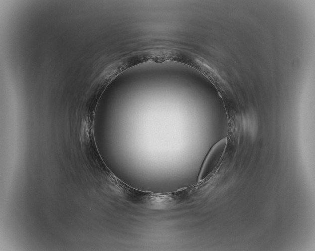 X0000113370333200909151405