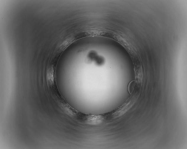 X0000113370334200909151405