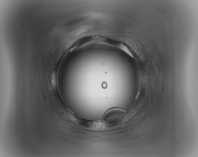 X0000113370335200909151405