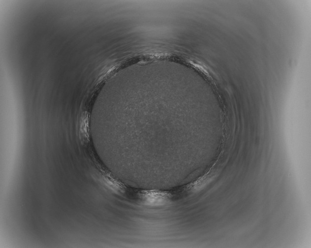 X0000113370336200909151405