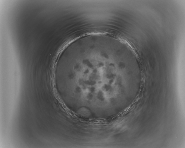 X0000113370337200909151404