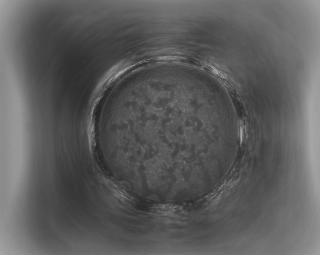 X0000113370339200909151404