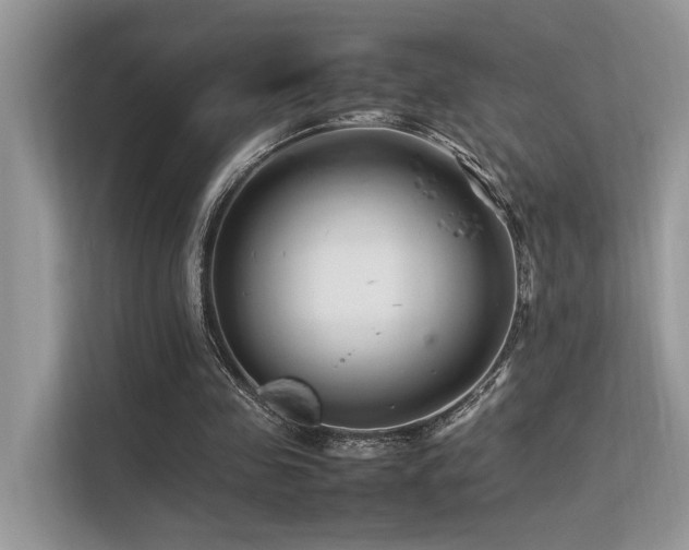 X0000113370341200909151404