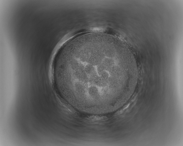 X0000113370343200909151404