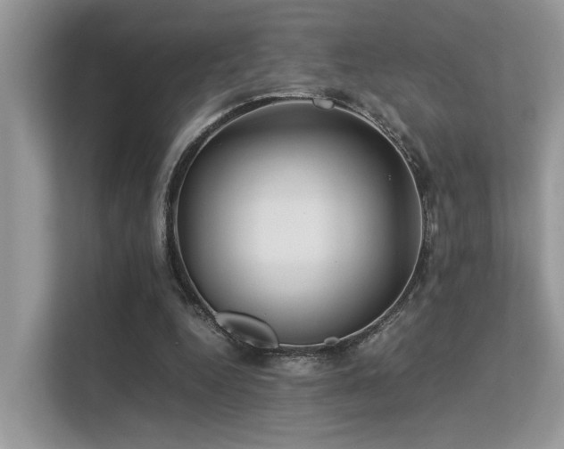 X0000113370344200909151404