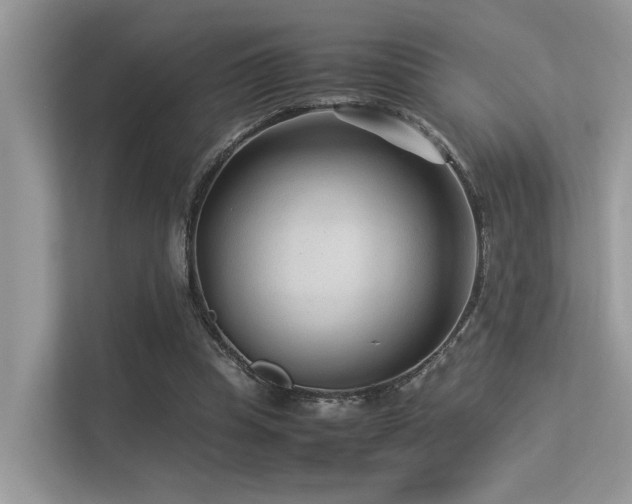 X0000113370345200909151404