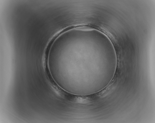 X0000113370346200909151404