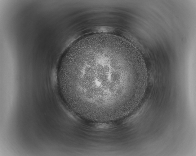 X0000113370347200909151404