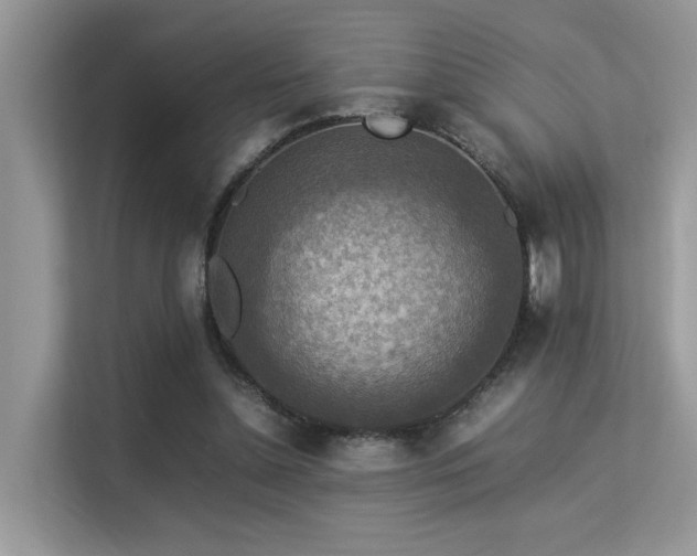 X0000113370348200909151404