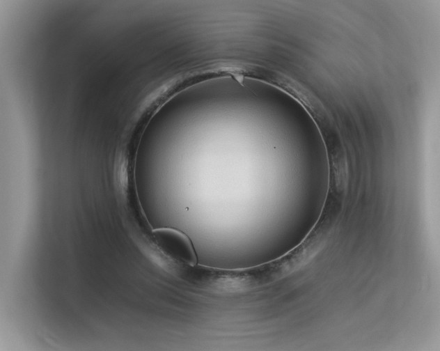X0000113370350200909151404