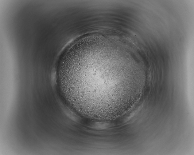 X0000113370351200909151404