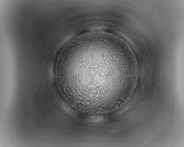 X0000113370353200909151404