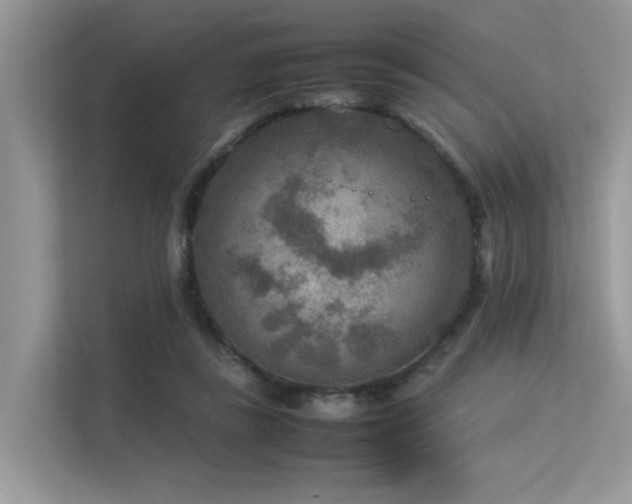 X0000113370355200909151404