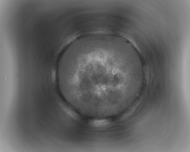 X0000113370357200909151404
