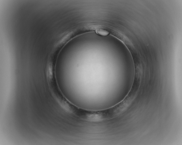 X0000113370358200909151404