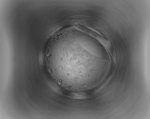 X0000113370359200909151404