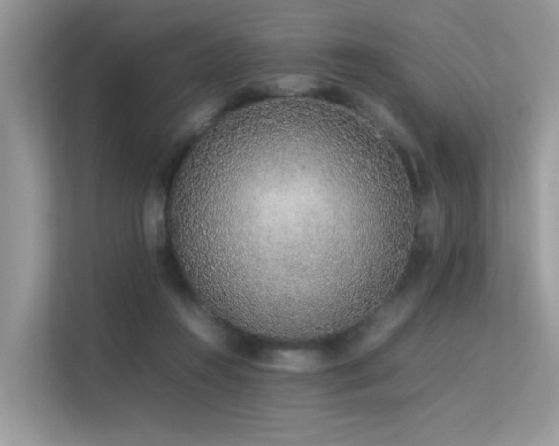 X0000113370360200909151404