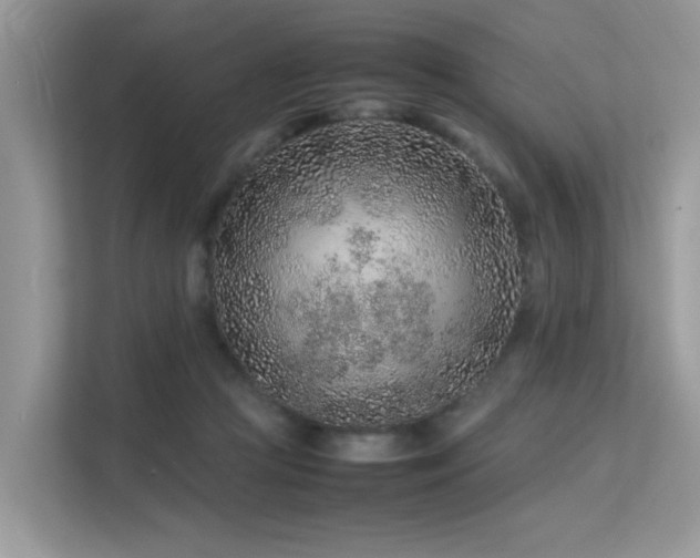 X0000113370361200909151404