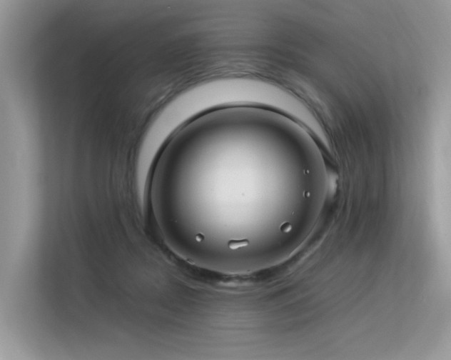 X0000113370362200909151405