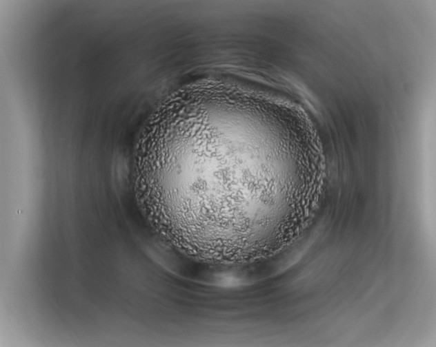 X0000113370365200909151405