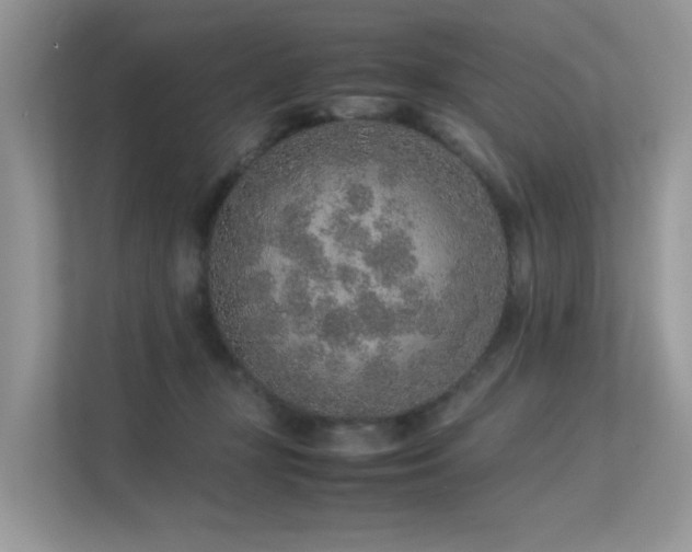 X0000113370367200909151405