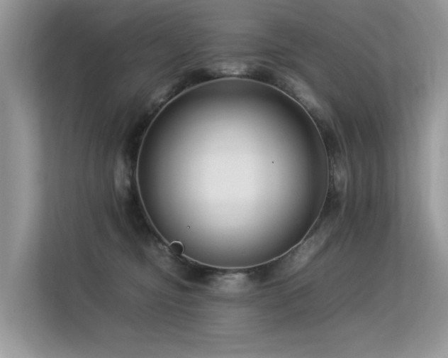X0000113370374200909151405