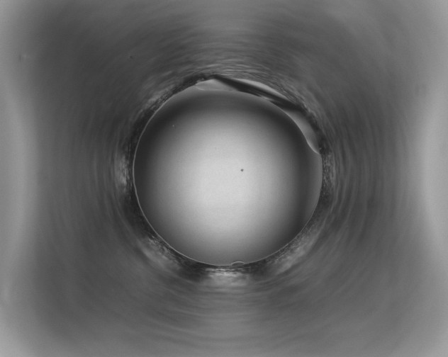 X0000113370380200909151405