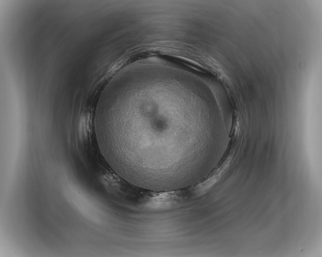 X0000113370382200909151405