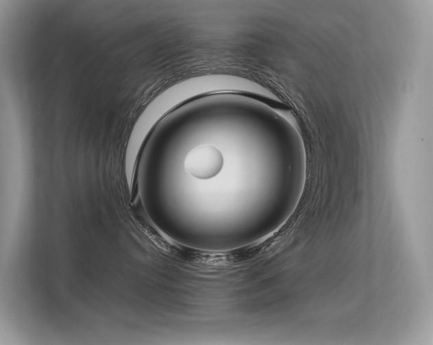 X0000113370384200909151405