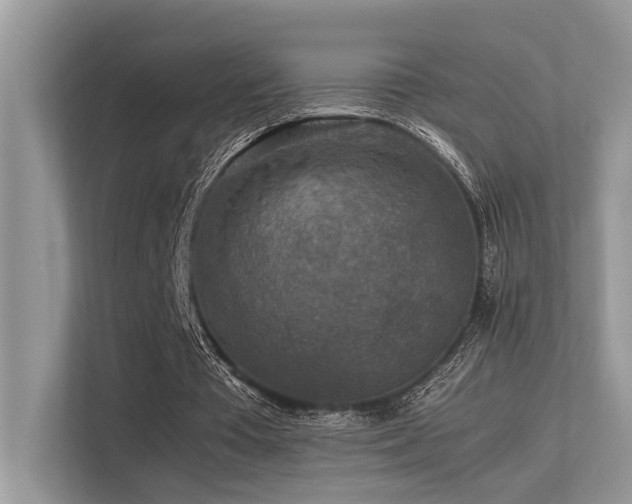 X0000113370385200909151404