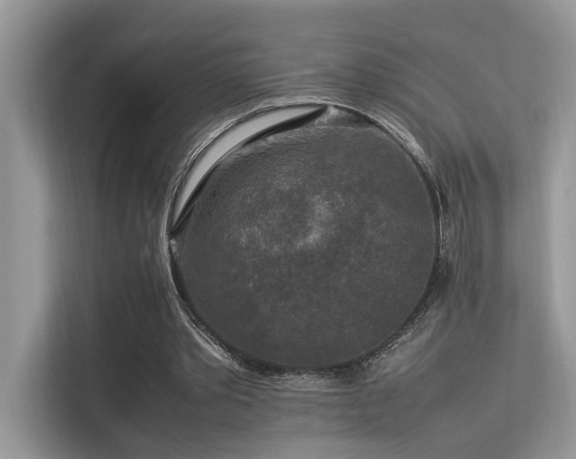X0000113370389200909151404