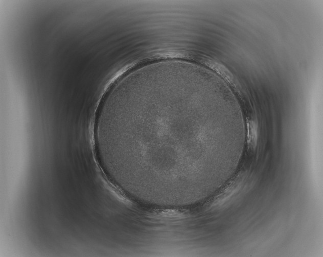 X0000113370390200909151404