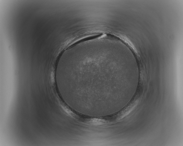 X0000113370393200909151404