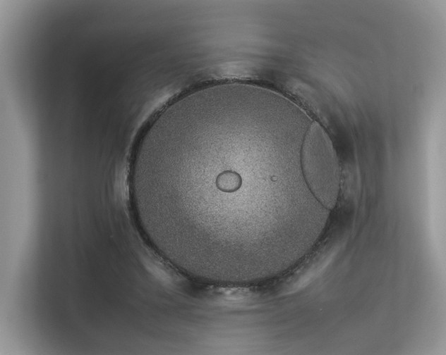 X0000113370395200909151404