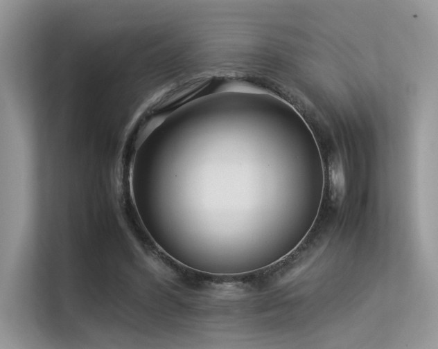 X0000113370396200909151404