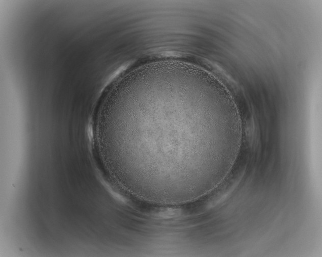 X0000113370398200909151404