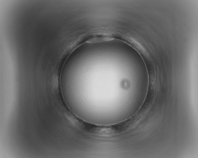 X0000113370401200909151404
