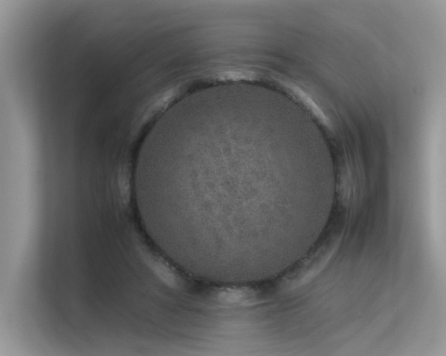 X0000113370402200909151404