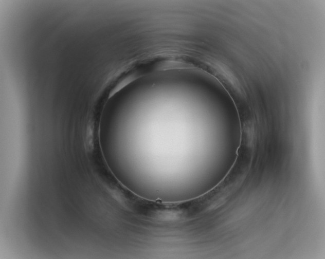 X0000113370404200909151404