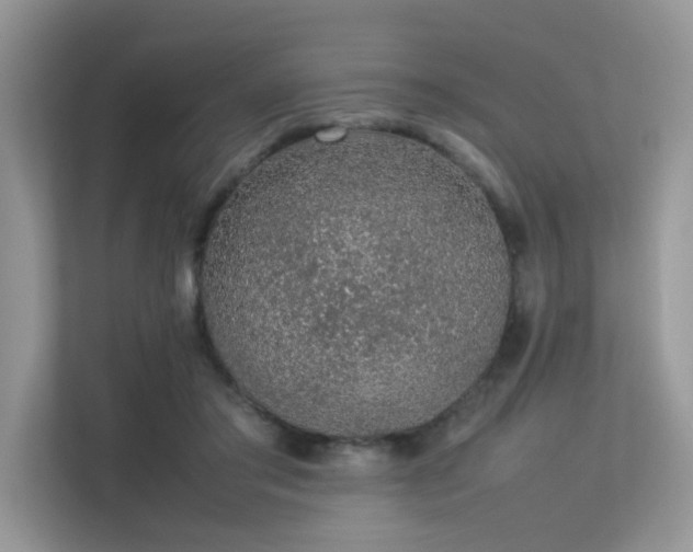 X0000113370405200909151404