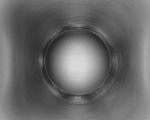 X0000113370406200909151404