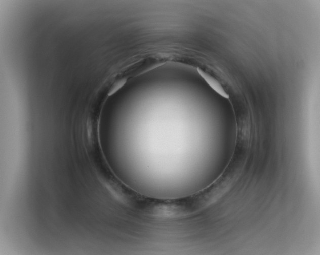 X0000113370408200909151404